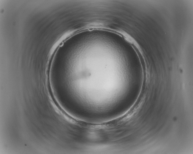 X0000080111341200612081217