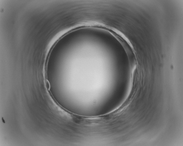 X0000080111343200612081217