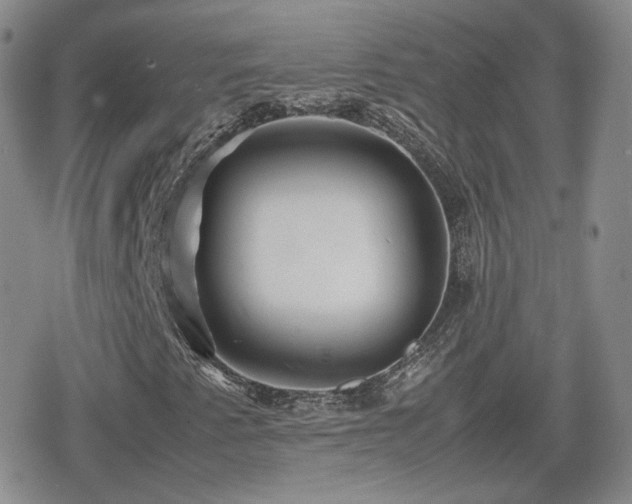 X0000080111345200612081217
