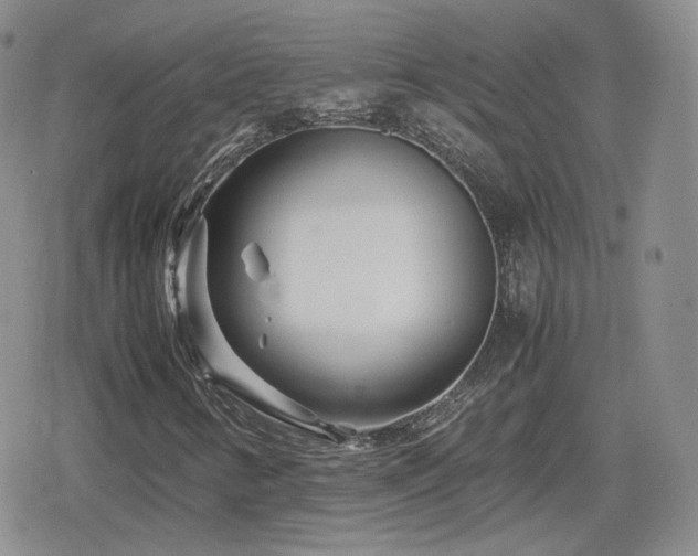 X0000080111346200612081217