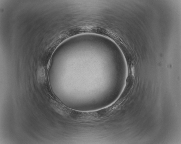 X0000080111347200612081217