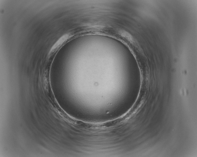 X0000080111354200612081216