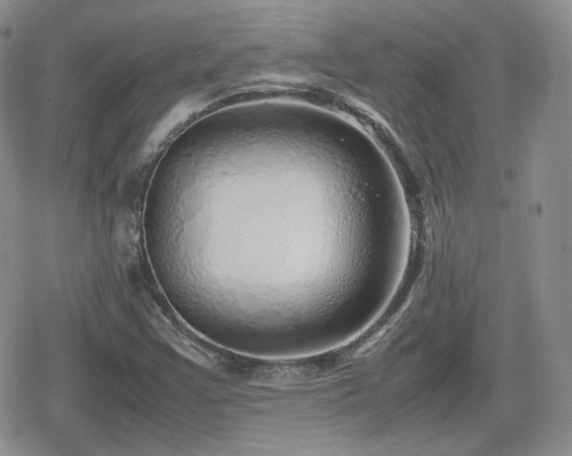 X0000080111355200612081216