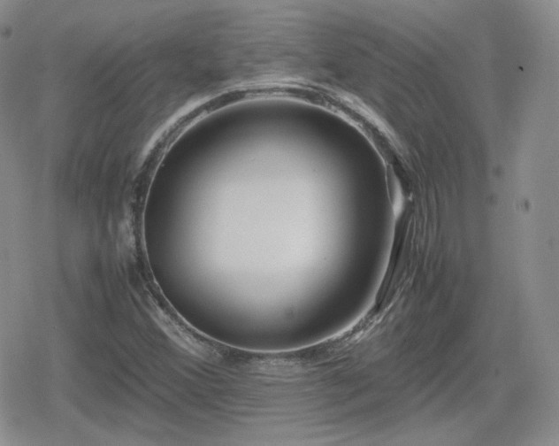 X0000080111356200612081216