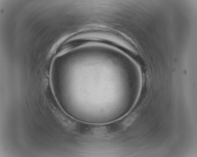 X0000080111363200612081216