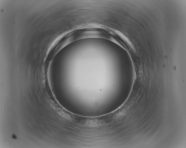 X0000080111364200612081216