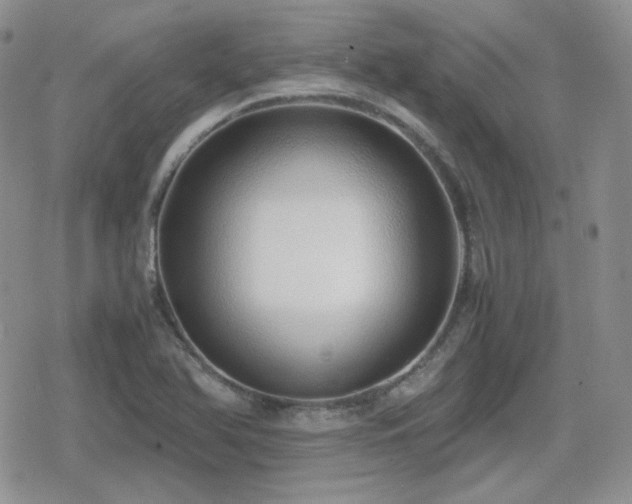 X0000080111366200612081216