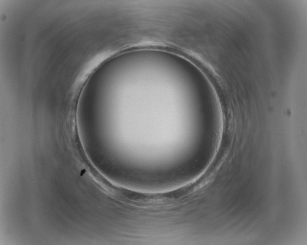 X0000080111367200612081216