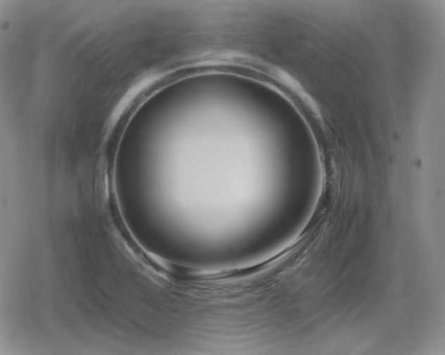 X0000080111368200612081216