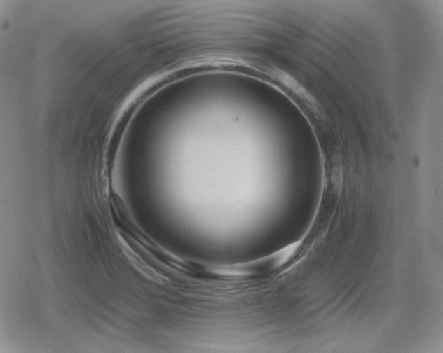 X0000080111372200612081216