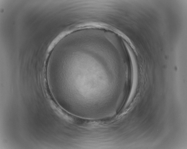 X0000080111373200612081216