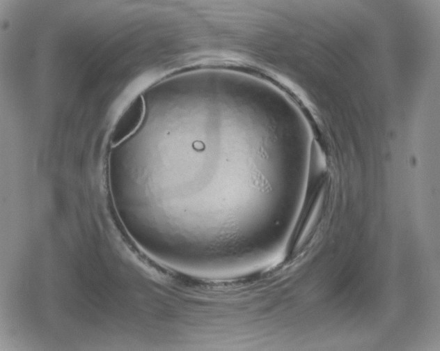 X0000080111375200612081216