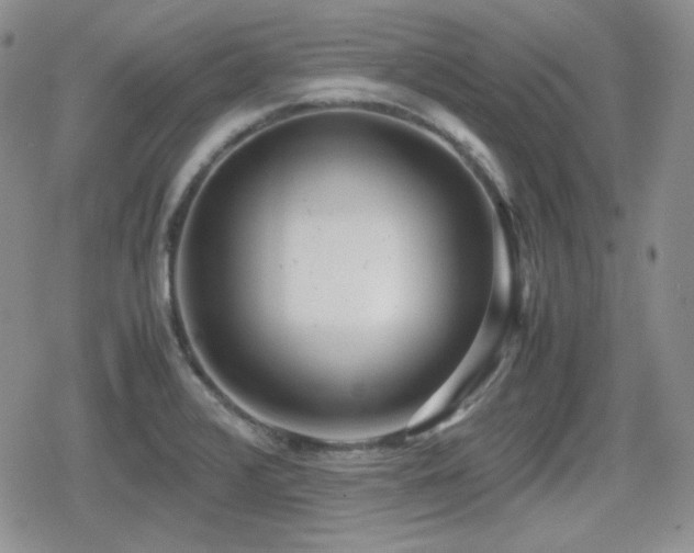 X0000080111376200612081216