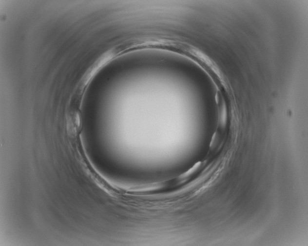 X0000080111377200612081216