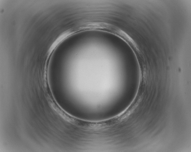 X0000080111378200612081216
