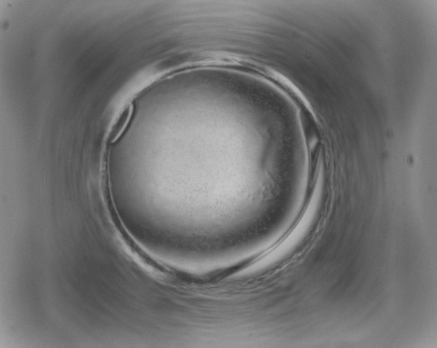 X0000080111379200612081216