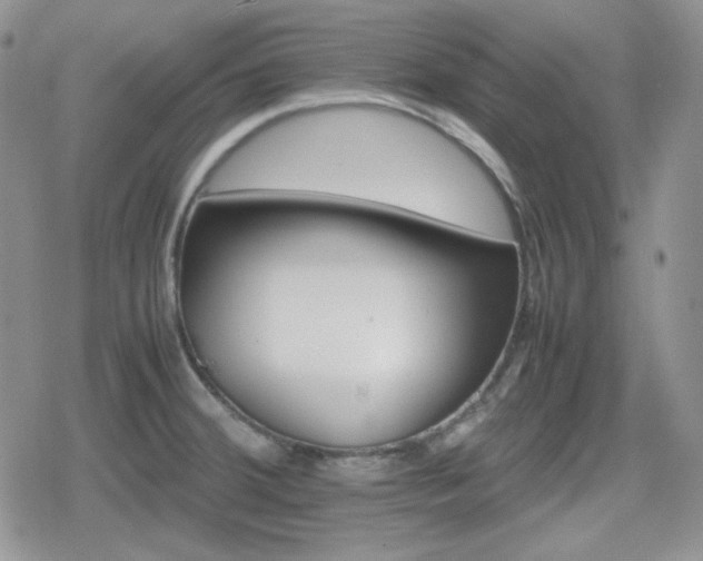 X0000080111380200612081216