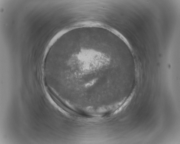 X0000080111381200612081216