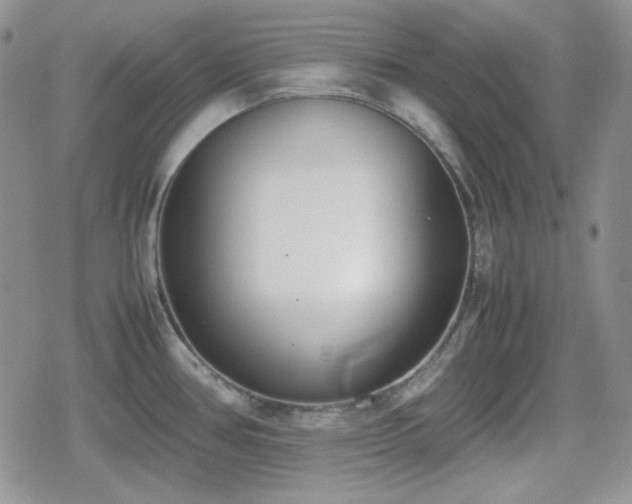 X0000080111386200612081216