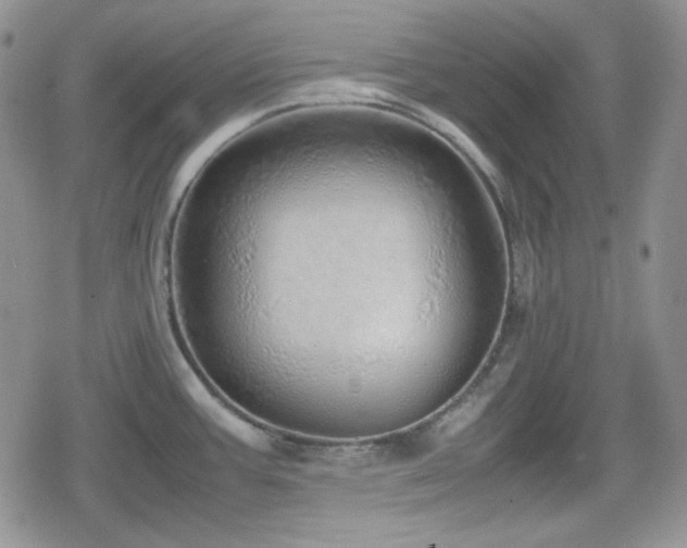 X0000080111387200612081216