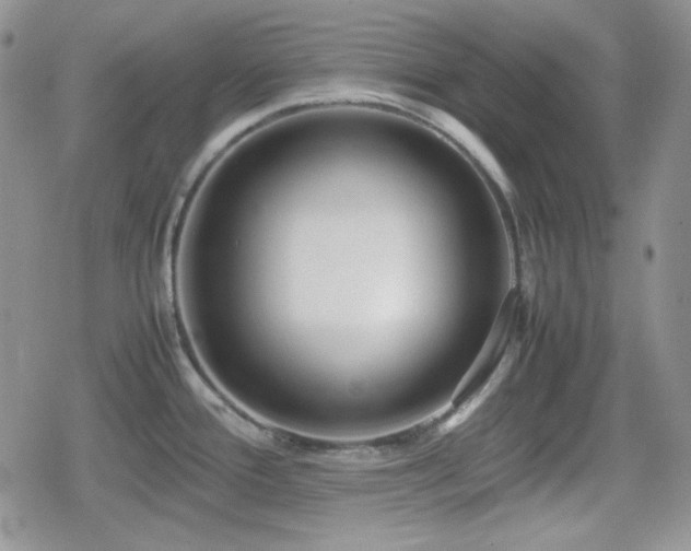 X0000080111388200612081216