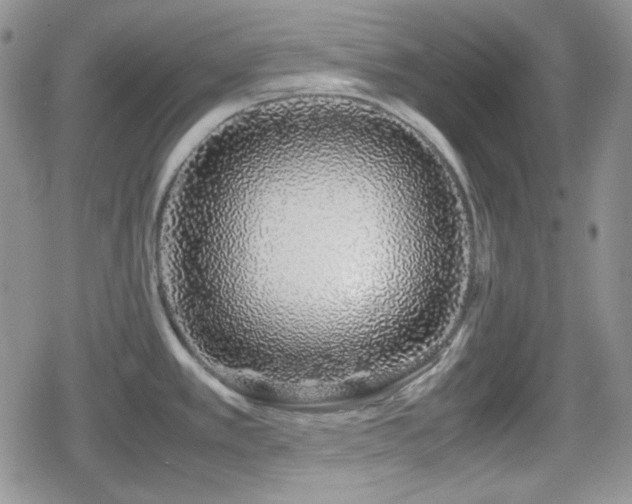 X0000080111389200612081216