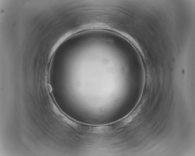 X0000080111390200612081216