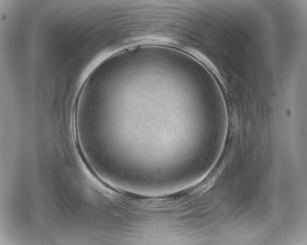 X0000080111391200612081216