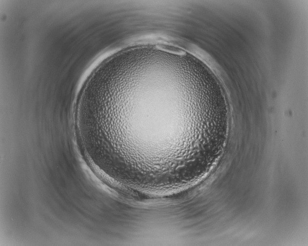 X0000080111392200612081216