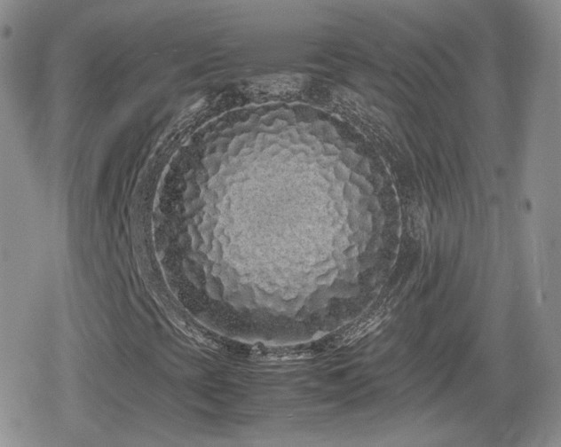 X0000080111393200612081215