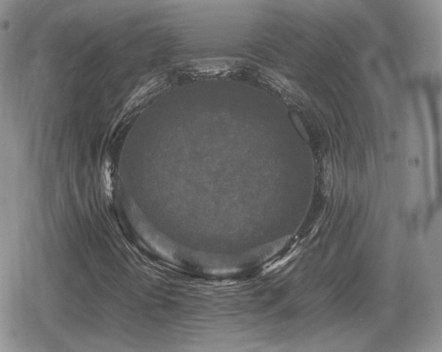 X0000080111394200612081215
