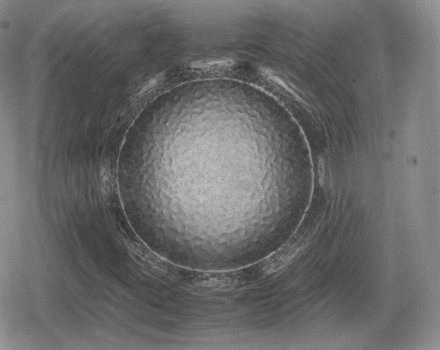 X0000080111395200612081215