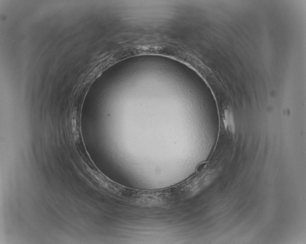 X0000080111396200612081215