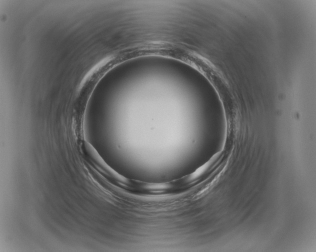 X0000080111402200612081215