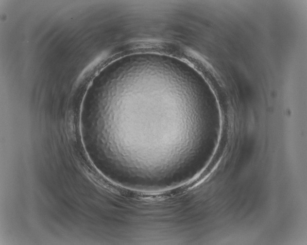 X0000080111403200612081215