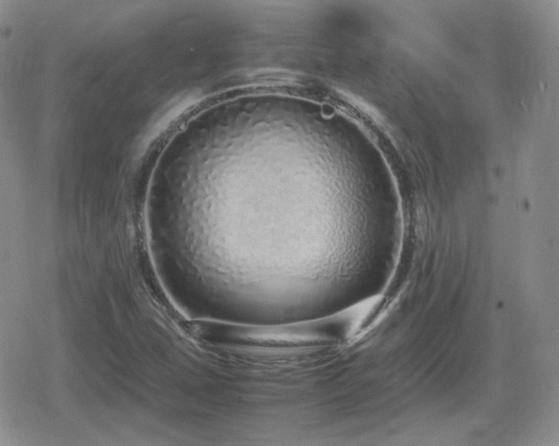X0000080111407200612081215