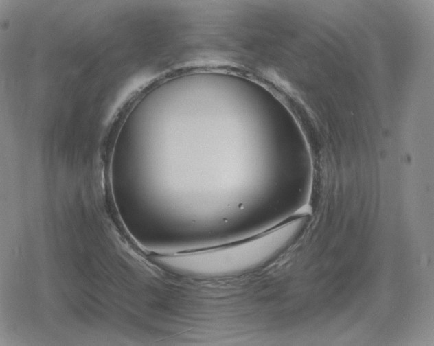 X0000080111408200612081215