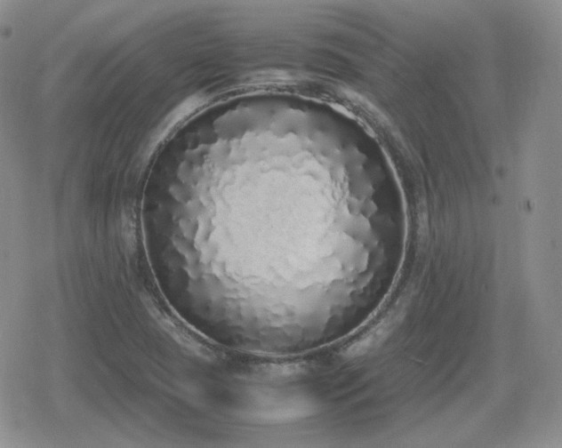 X0000080111409200612081215