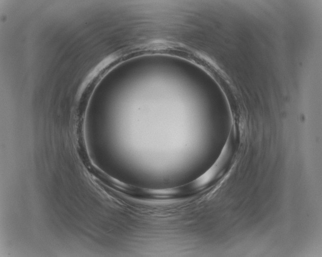 X0000080111410200612081215