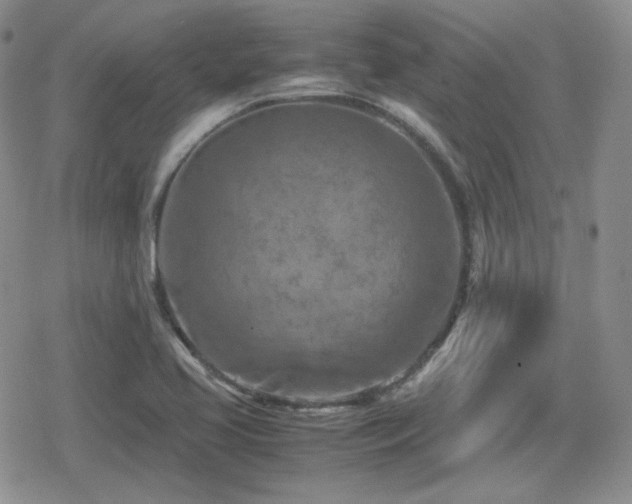 X0000080111413200612081215
