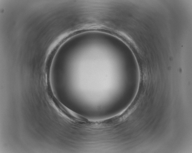 X0000080111414200612081215