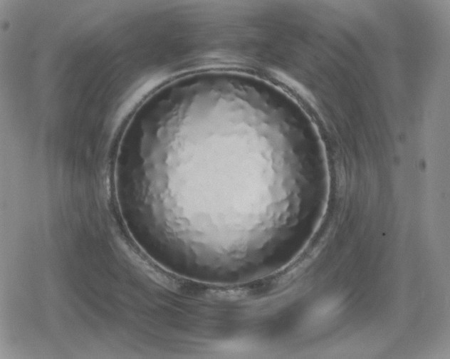 X0000080111415200612081215