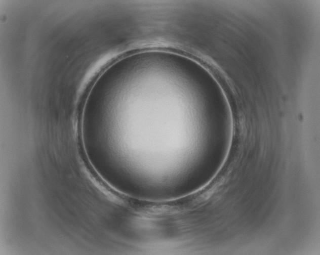 X0000080111416200612081215