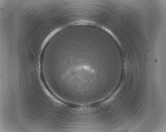 X0000080111418200612081215