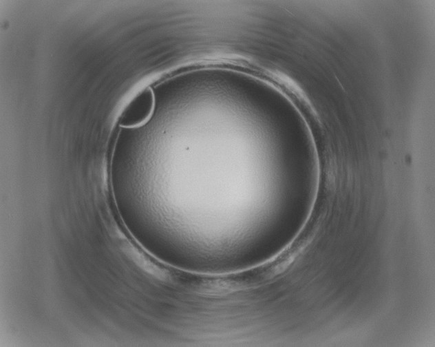 X0000080111420200612081216