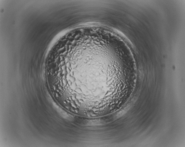 X0000080111421200612081216