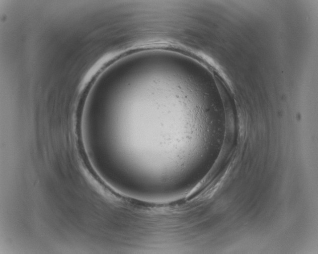 X0000080111422200612081216