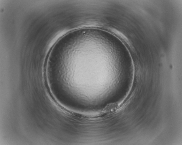 X0000080111423200612081216