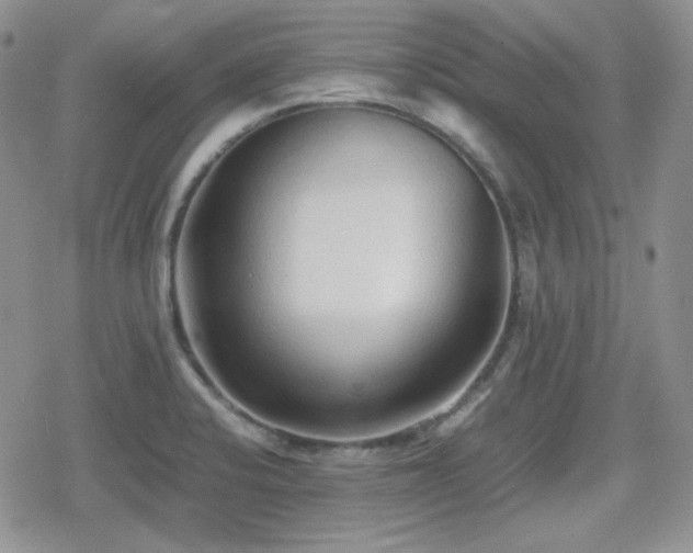 X0000080111424200612081216