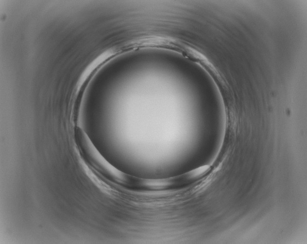 X0000080111426200612081216